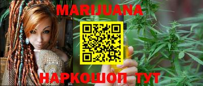 индика Лесосибирск
