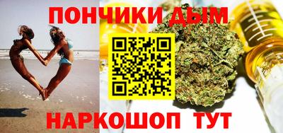 индика Лесосибирск