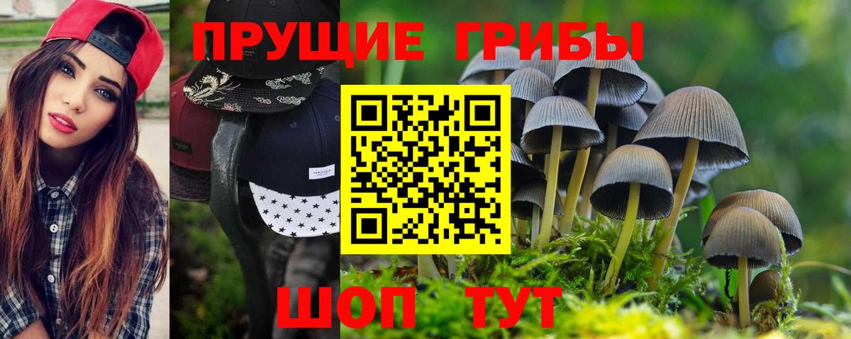 Галлюциногенные грибы GOLDEN TEACHER  Вход с VPN  Тихорецк 